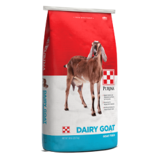 Purina Dairy Goat Parlor 16