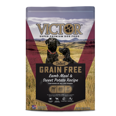 can puppies eat victor dog food