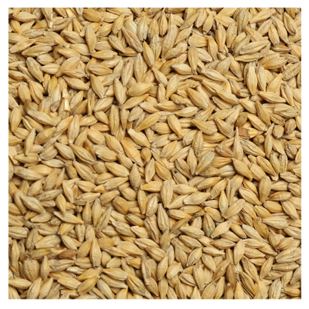 Brooks Raw Grains Barley for Birds - D&D Feed & Supply