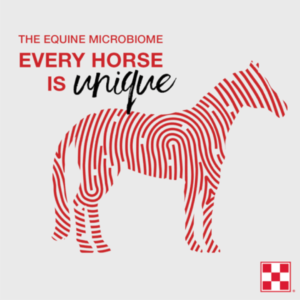 The Equine Microbiome